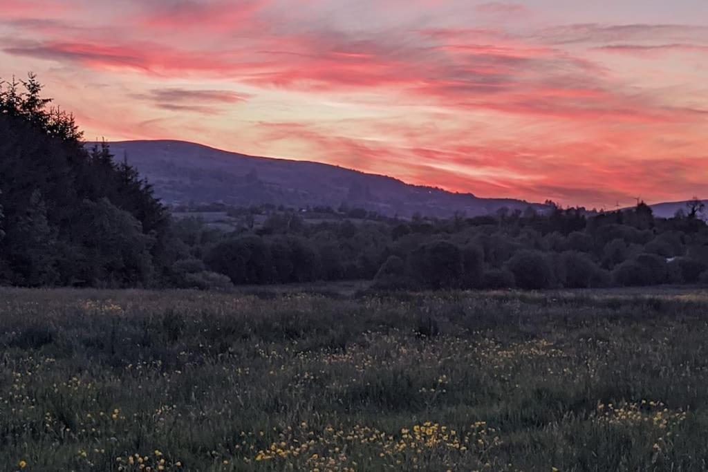 Secluded Private Cottage Hot-Tub, Sauna & Fire-Pit Carrick-on-Shannon Exterior photo