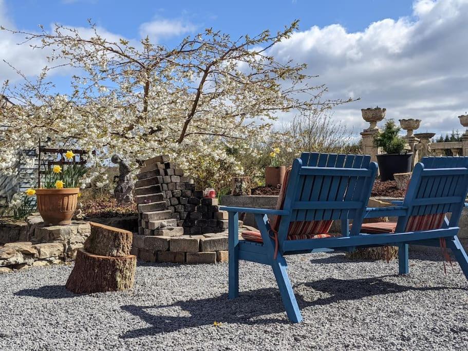 Secluded Private Cottage Hot-Tub, Sauna & Fire-Pit Carrick-on-Shannon Exterior photo